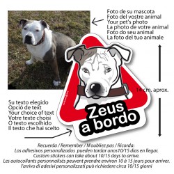 Cane a Bordo Nome Personalizzato - Adesivo Prespaziato - AdesiviStore