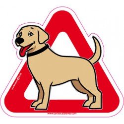 Labrador on board - Stickers